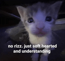 a picture of a kitten with the words " no rizz just soft hearted and understanding " below it