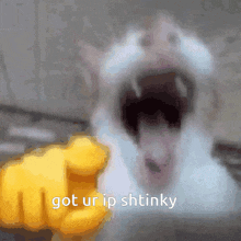 a cat with its mouth open is being pointed at by a yellow fist that says got ur ip shtinky