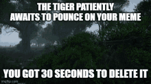 a meme that says the tiger patiently waits to pounce on your meme you got 30 seconds to delete it