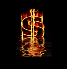 a dollar sign that is on fire and reflected in the water