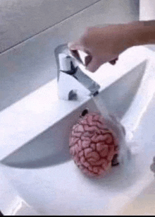 a person is washing a brain in a sink with a knife .