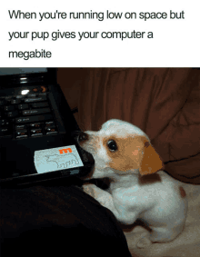 a small dog licking a laptop with a caption that says when you 're running low on space