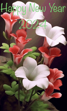 a bunch of red and white flowers with the words happy new year 2024 above them