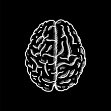 it is a black and white drawing of a human brain .