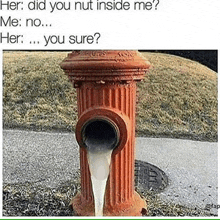 a fire hydrant with milk pouring out of it and a caption that says `` her did you nut inside me ? ''