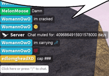 a screen shot of a chat with melonmoose