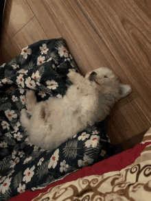 a small white dog is laying on a floral blanket