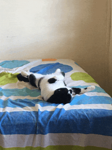 a cat laying on its back on a bed