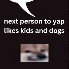 a picture of a dog with the words next person to yap likes kids and dogs