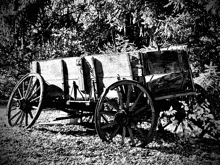 a black and white photo of a horse drawn wagon