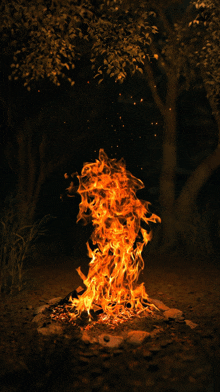 a large fire in the middle of a forest at night