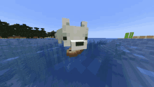 a polar bear is swimming in the ocean with a boat in its mouth