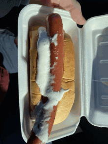 a styrofoam container holds a hot dog with white sauce