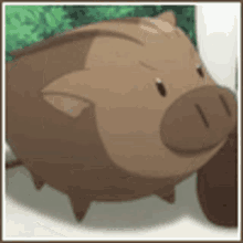 a brown pig is sitting on a white surface in a frame .