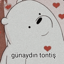 a cartoon bear with hearts and the words günaydin tontis on the bottom