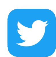 a twitter icon with a white bird on a blue square