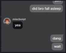 a screenshot of a text conversation between miscboit yea and dang