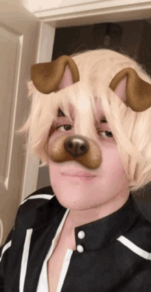 a person wearing a wig with dog ears on their face