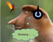 a monkey wearing headphones with a green cloud that says groovy on it