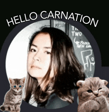 a picture of a woman and two kittens with the words hello carnation above them