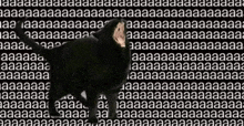 a black cat is standing in front of a wall of screaming letters