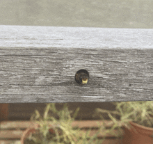 a close up of a wooden plank with a hole in the middle