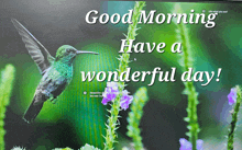 a picture of a hummingbird with the words " good morning have a wonderful day "