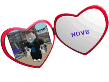 a picture of a roblox character in a heart shaped mirror with the name novb written on it