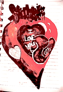 a drawing of a heart with the words " i love you " written on it