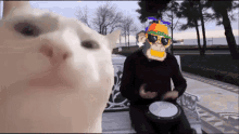 a man playing a drum in front of a cat