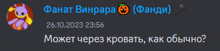 a screenshot of a russian chat with a picture of a rabbit and the date 26.10.2023 23:56