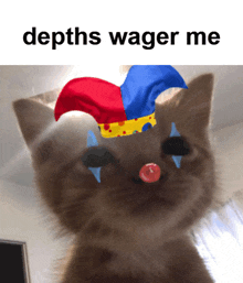 a cat wearing a clown hat with the words " depths wager me " below it