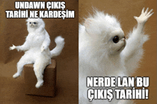 a picture of a stuffed animal with a caption that says " undawn çikis tarihi ne kardesim "