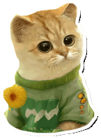 a cat wearing a green shirt with buttons on the sleeves