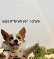 a picture of a dog with the words esse mes vai ser incrivel