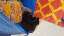 a black cat is laying in a blue tent next to a yellow and red rug