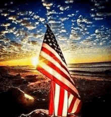 a small american flag is sitting on top of a rock on a beach at sunset .