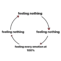 a diagram showing a cycle of feeling nothing , feeling nothing , feeling every emotion at 100 % .