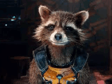 rocket raccoon from guardians of the galaxy is a raccoon wearing a vest and smiling .