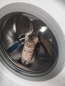 a kitten is sitting inside of a washing machine looking at the camera