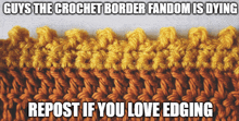 a picture of a crocheted border with the caption " guys the crochet border fandom is dying "