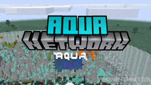 a screenshot of a minecraft game called aqua network