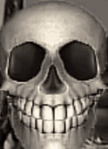 a close up of a skull with a skeleton in the background .