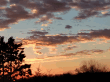 a sunset with trees in the foreground and a few clouds in the background