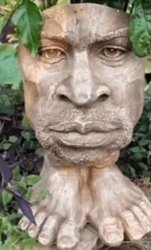 a statue of a man 's face with a beard is surrounded by plants