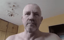 a shirtless man with a beard is looking at the camera in a bedroom .