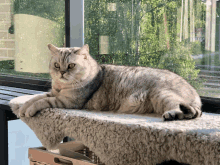 a cat laying on a blanket on a window sill