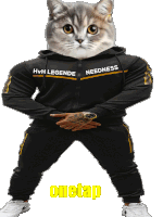 a cat is wearing a black hoodie that says hvh legends needness