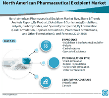 a north american pharmaceutical excipient market analysis report