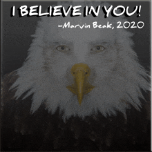 a bald eagle with the words " i believe in you " on it